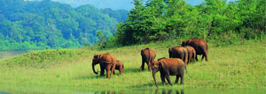 3 Days Golden Triangle Tour