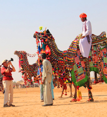 Rajasthan Tours