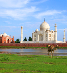 Taj Mahal Tour